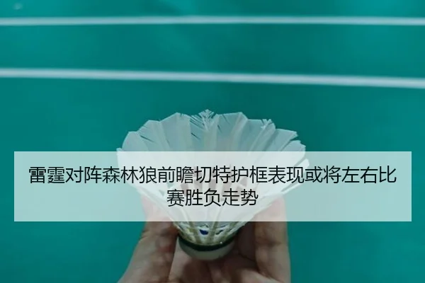 雷霆对阵森林狼前瞻切特护框表现或将左右比赛胜负走势